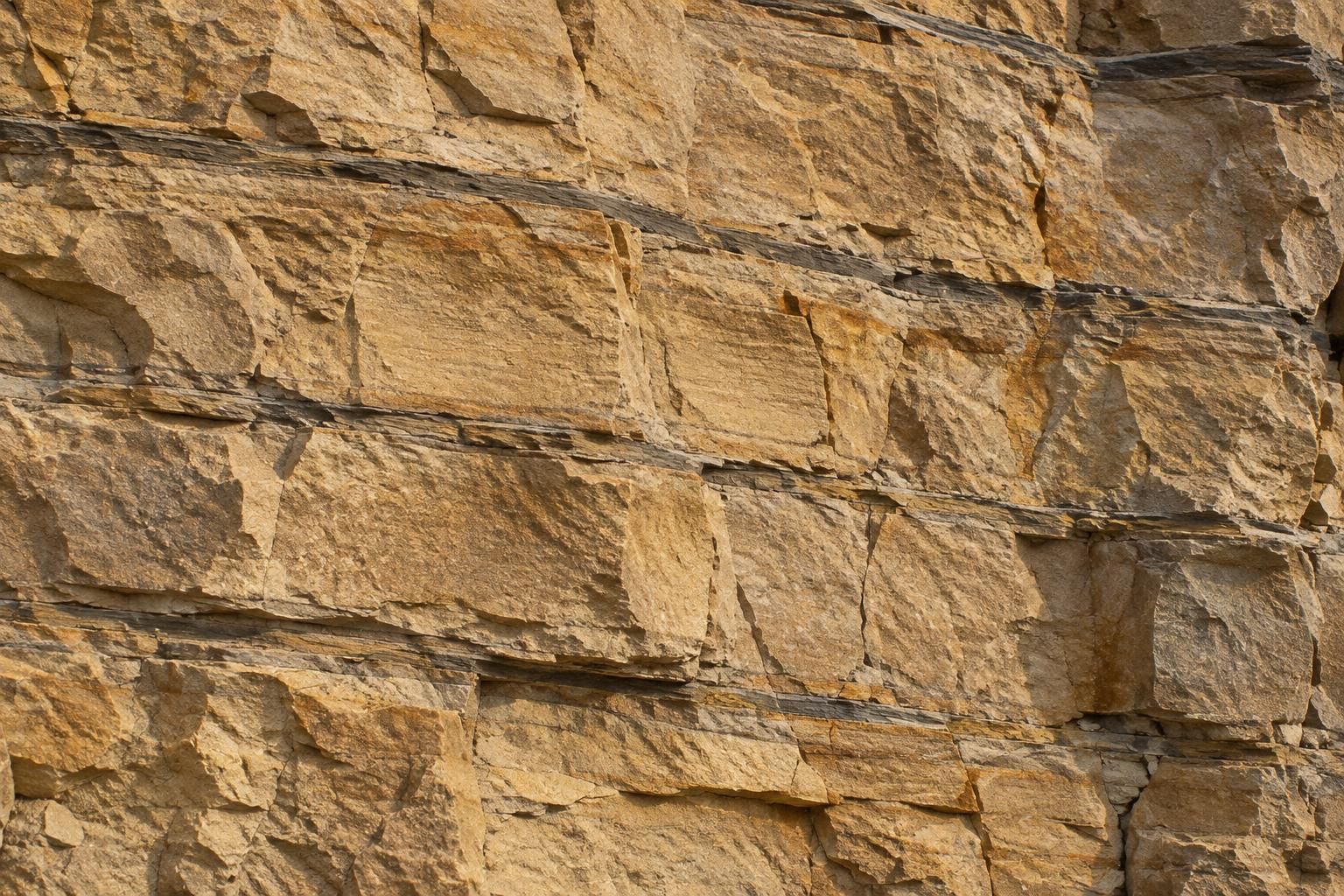A close, raking-light view of a freshly split buff sandstone face, fine bedding lines and a thin grey shale parting, warm honey tones with a little iron staining, sharp texture across the frame.